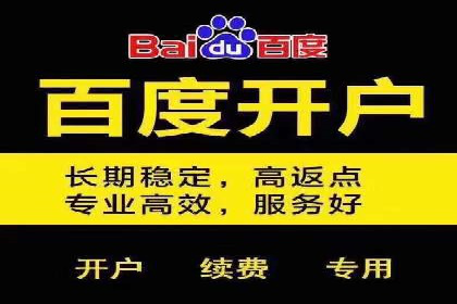 行业领先SEM服务公司案例研究
